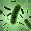 MICROBES AND DISEASES